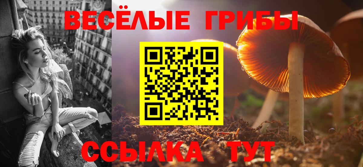 Псилоцибиновые грибы MAGIC MUSHROOMS Рязань