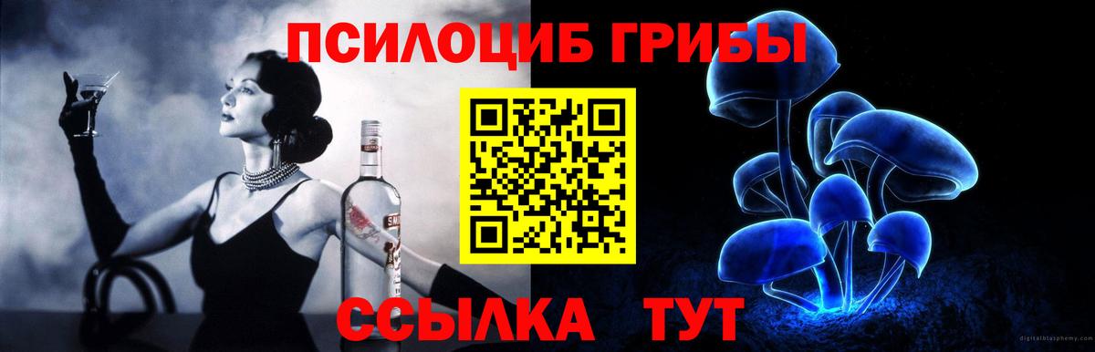 Рязань  Галлюциногенные грибы GOLDEN TEACHER  наркота  Вход с VPN 